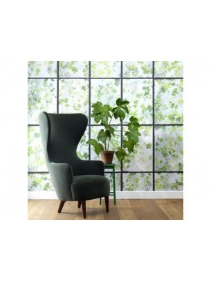 Ταπετσαρία Greenhouse